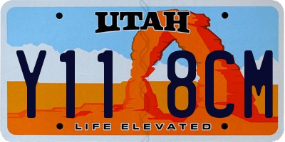 UT license plate Y118CM