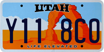 UT license plate Y118CO