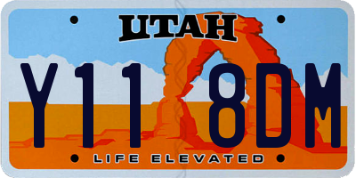 UT license plate Y118DM