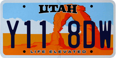 UT license plate Y118DW