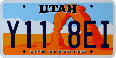 UT license plate Y118EI