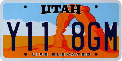UT license plate Y118GM