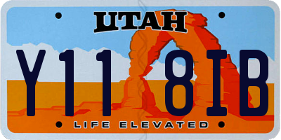 UT license plate Y118IB