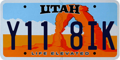 UT license plate Y118IK