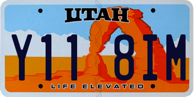 UT license plate Y118IM