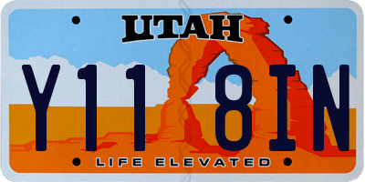 UT license plate Y118IN