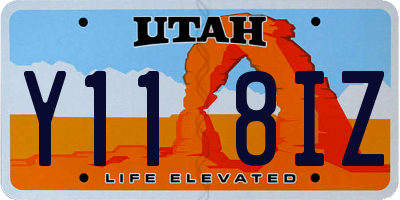 UT license plate Y118IZ