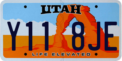 UT license plate Y118JE