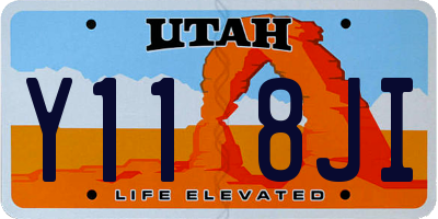 UT license plate Y118JI
