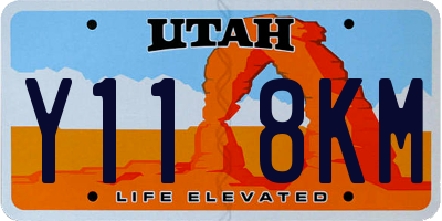 UT license plate Y118KM