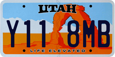 UT license plate Y118MB
