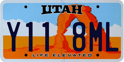 UT license plate Y118ML