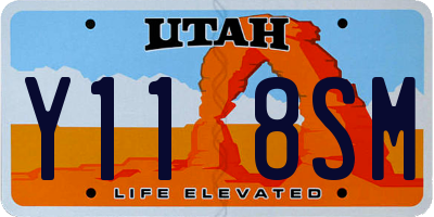 UT license plate Y118SM