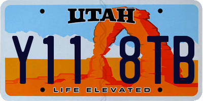 UT license plate Y118TB