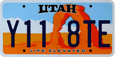 UT license plate Y118TE