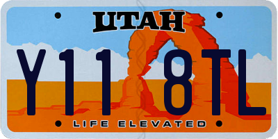 UT license plate Y118TL