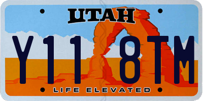 UT license plate Y118TM