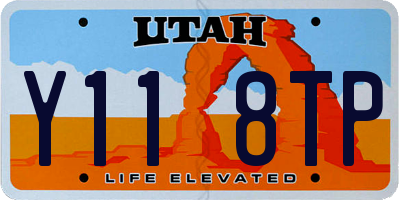 UT license plate Y118TP