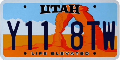 UT license plate Y118TW