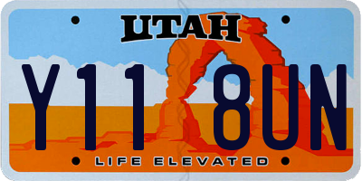 UT license plate Y118UN