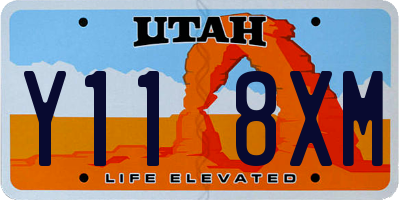 UT license plate Y118XM