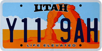 UT license plate Y119AH