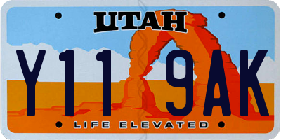 UT license plate Y119AK