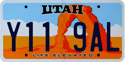 UT license plate Y119AL