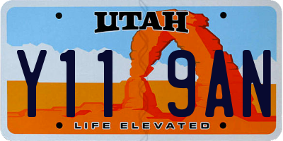 UT license plate Y119AN