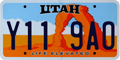 UT license plate Y119AO