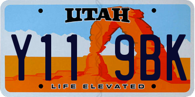 UT license plate Y119BK