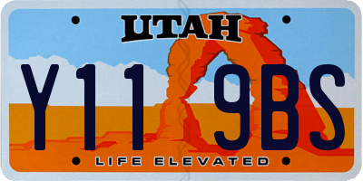 UT license plate Y119BS