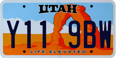 UT license plate Y119BW