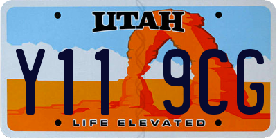UT license plate Y119CG