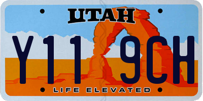 UT license plate Y119CH
