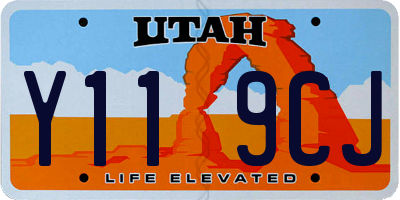UT license plate Y119CJ