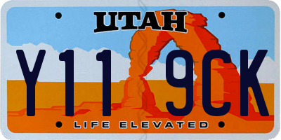 UT license plate Y119CK