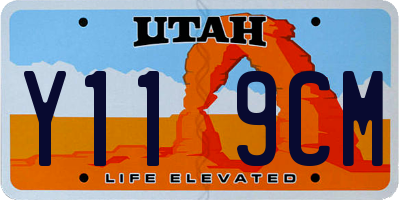 UT license plate Y119CM