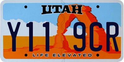 UT license plate Y119CR