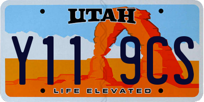 UT license plate Y119CS