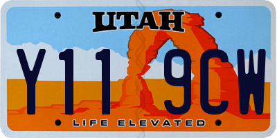 UT license plate Y119CW