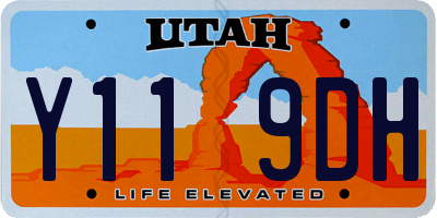 UT license plate Y119DH