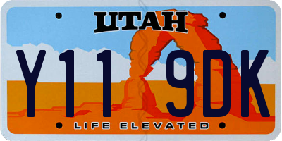 UT license plate Y119DK