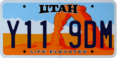UT license plate Y119DM