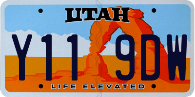UT license plate Y119DW