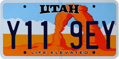 UT license plate Y119EY