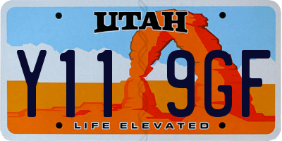 UT license plate Y119GF