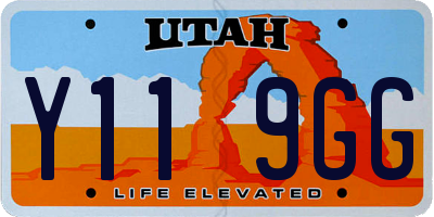 UT license plate Y119GG
