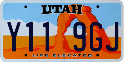 UT license plate Y119GJ