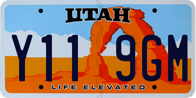 UT license plate Y119GM